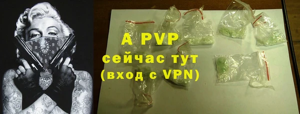 индика Майский