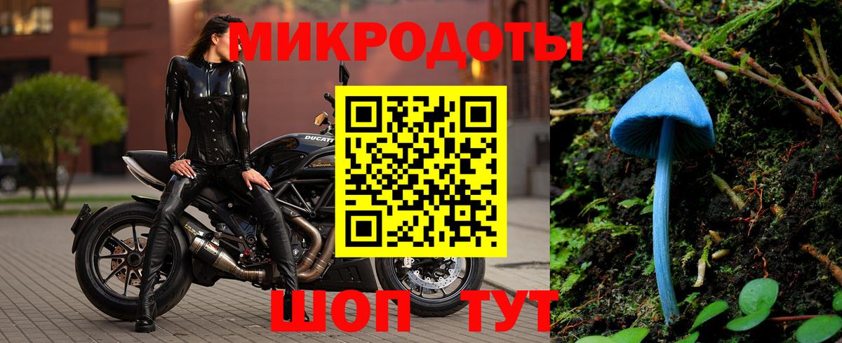 Мурино  что такое   Вход с VPN  Галлюциногенные грибы мухоморы 