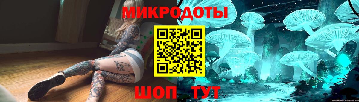 Галлюциногенные грибы Psilocybe Мурино