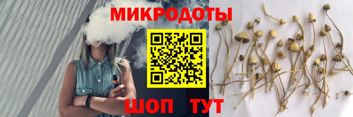 Галлюциногенные грибы GOLDEN TEACHER  Псилоцибиновые грибы мицелий  Мурино 