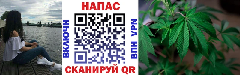 маркетплейс официальный сайт  Мурино  Каннабис сатива 